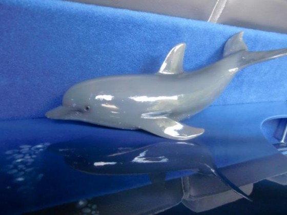 delfine mit airbrush